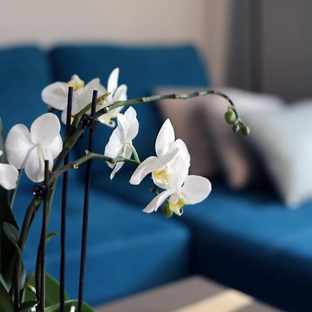 Apartament Turkus Szczecin Exteriör bild